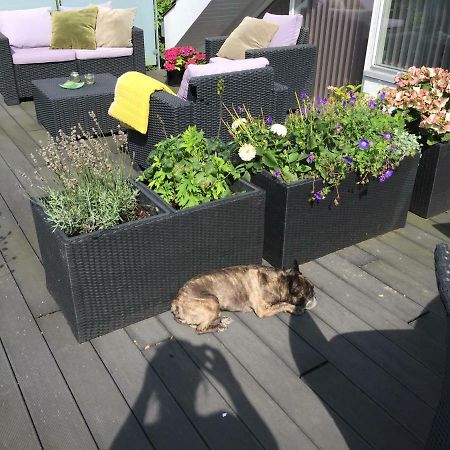 Brondums B & B Hjorring Bagian luar foto