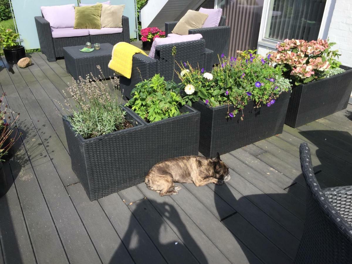 Brondums B & B Hjorring Bagian luar foto